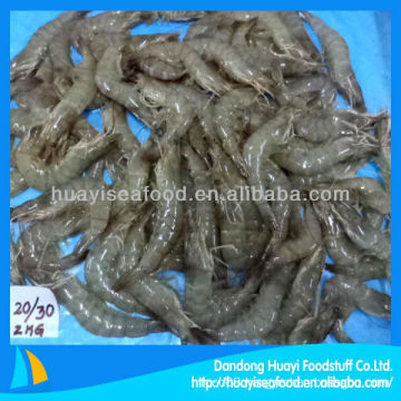 new frozen shrimp scientific name of shrimp vannamei shrimp